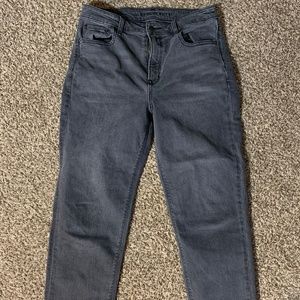 American eagle mom jean 10